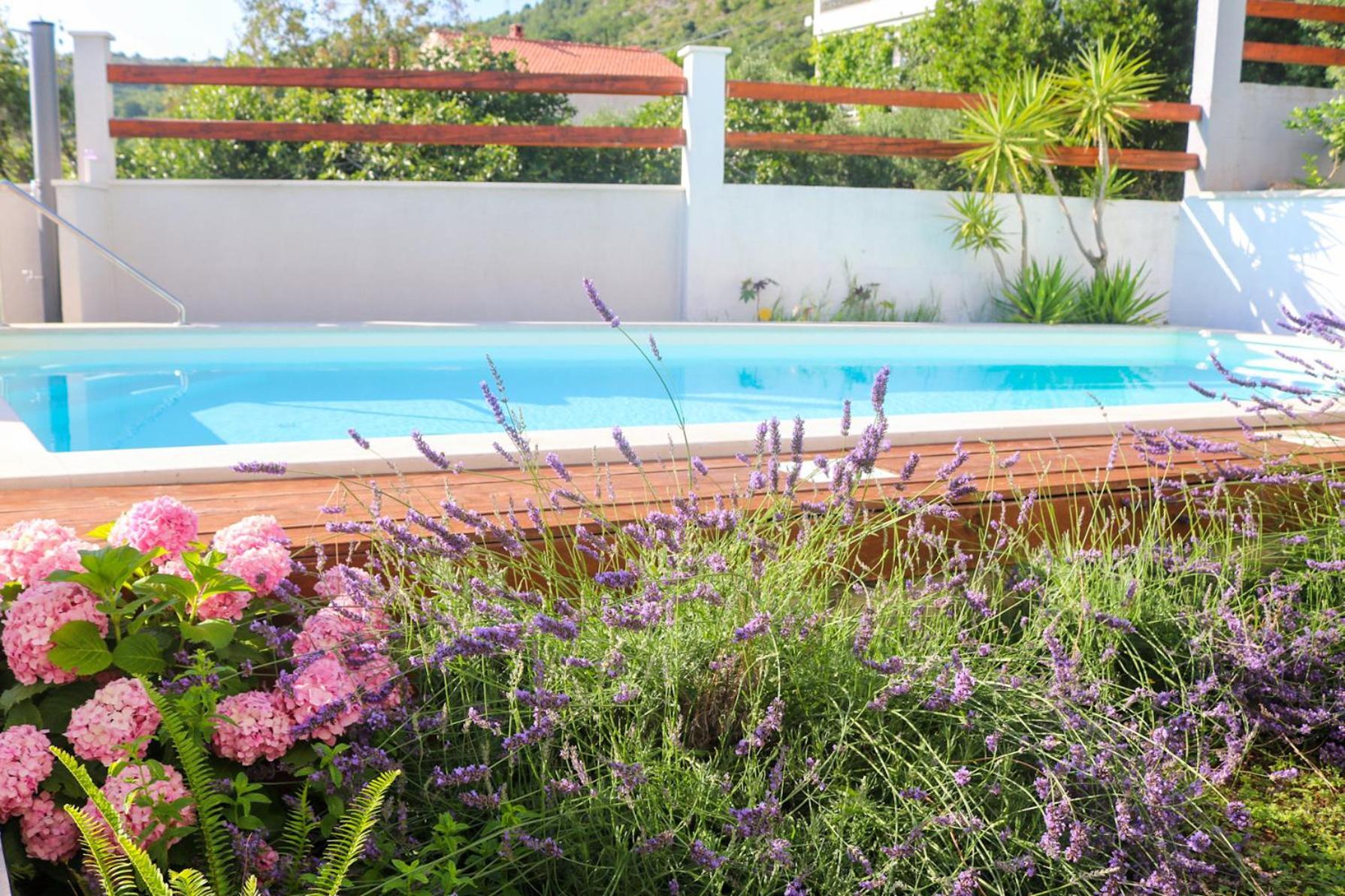 Villa My Rose With A Private Pool Mlini Eksteriør bilde